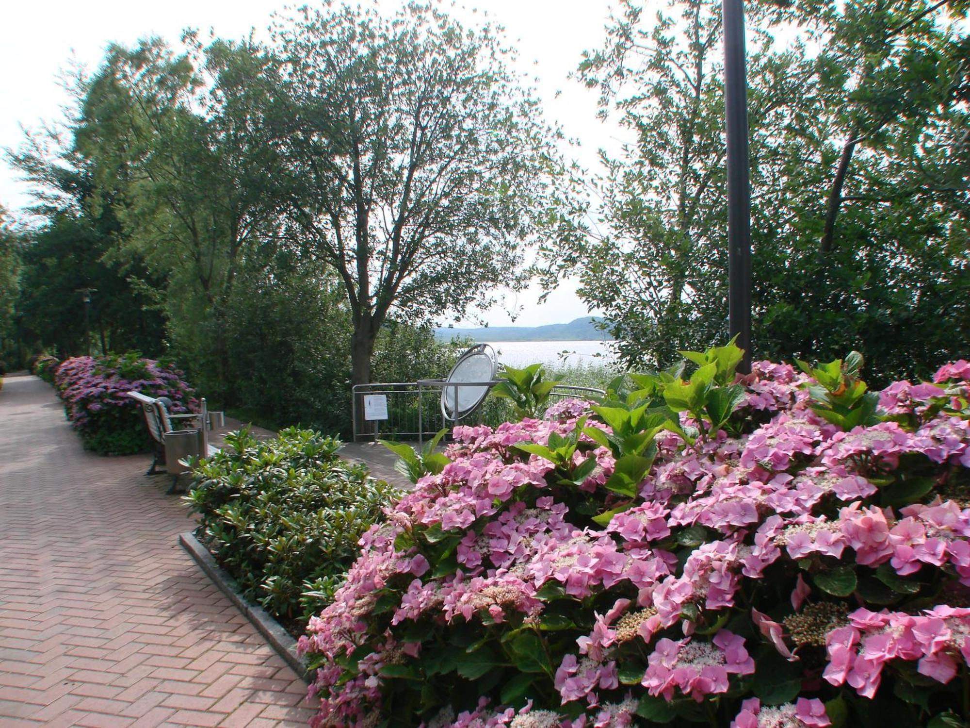 Pension Anker Binz Extérieur photo